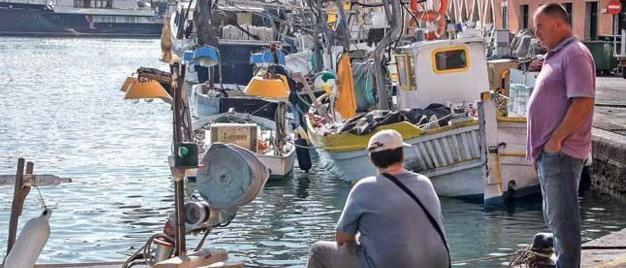 Barcas de pesca de arrastre en el puerto de Palma.