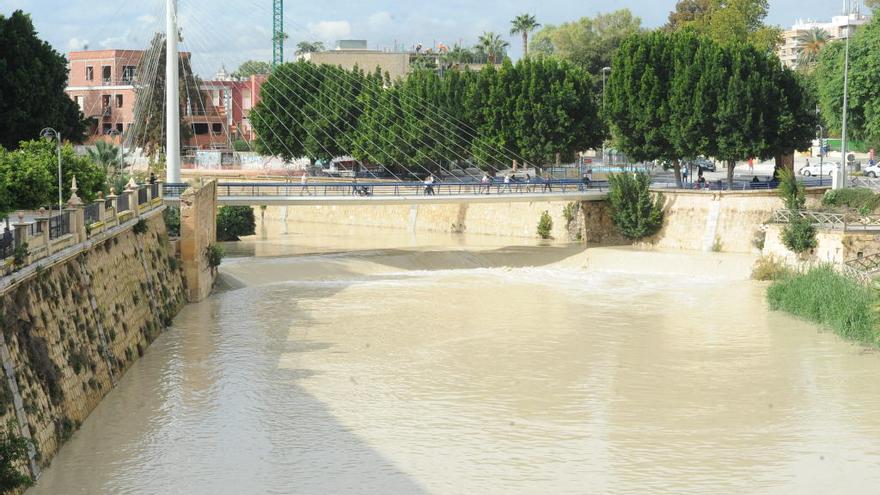 Río Segura a su paso por Murcia