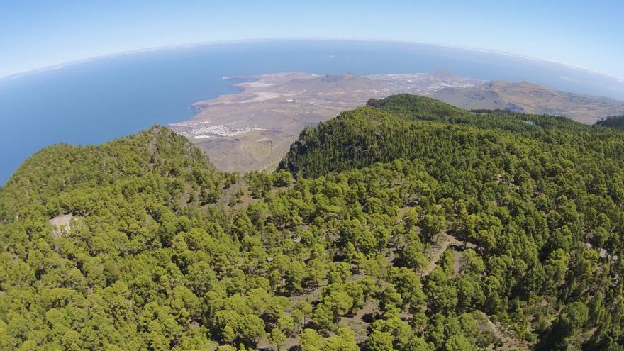 Las empresas privadas exigen participar en el sector forestal