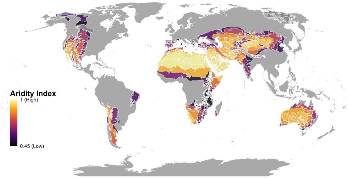 Regiones áridas del mundo delimitadas con bordes blancos y sus correspondientes valores medios de aridez.