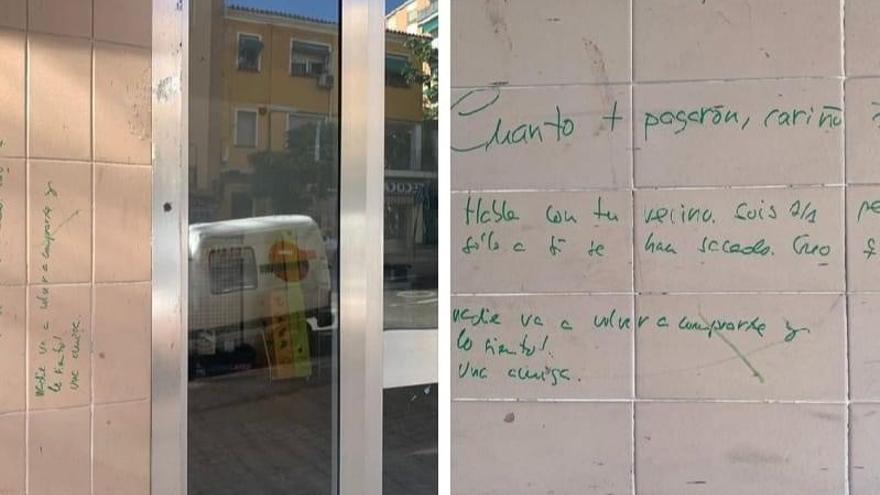 Salvemos la Montaña se desvincula de las pintadas en los comercios