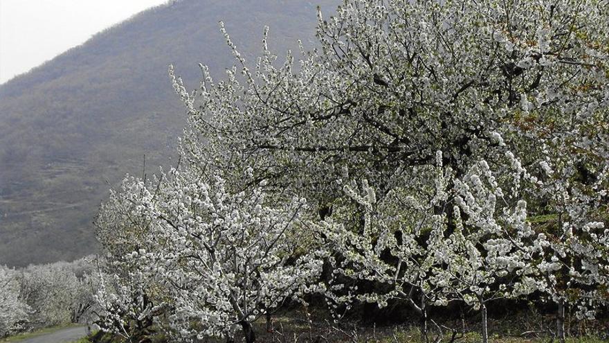 El valle se tiñe de blanco