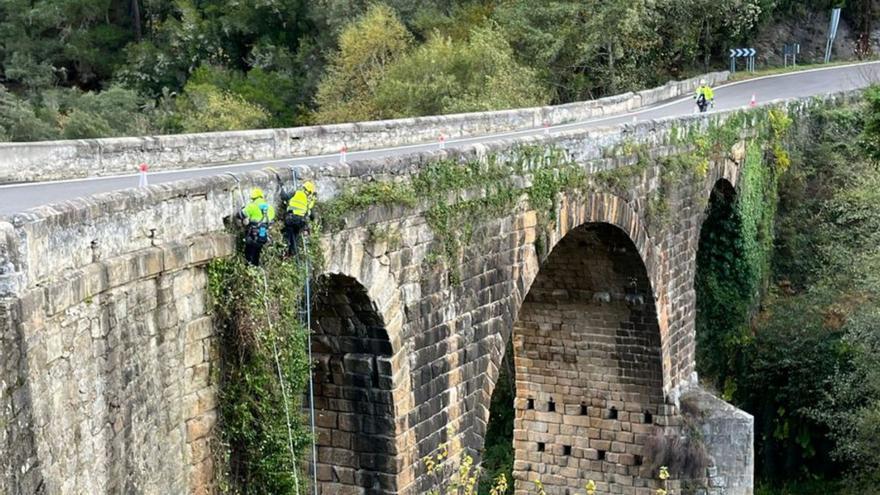 Trabajos de limpieza vertical del puente sobre el Bibei. | |