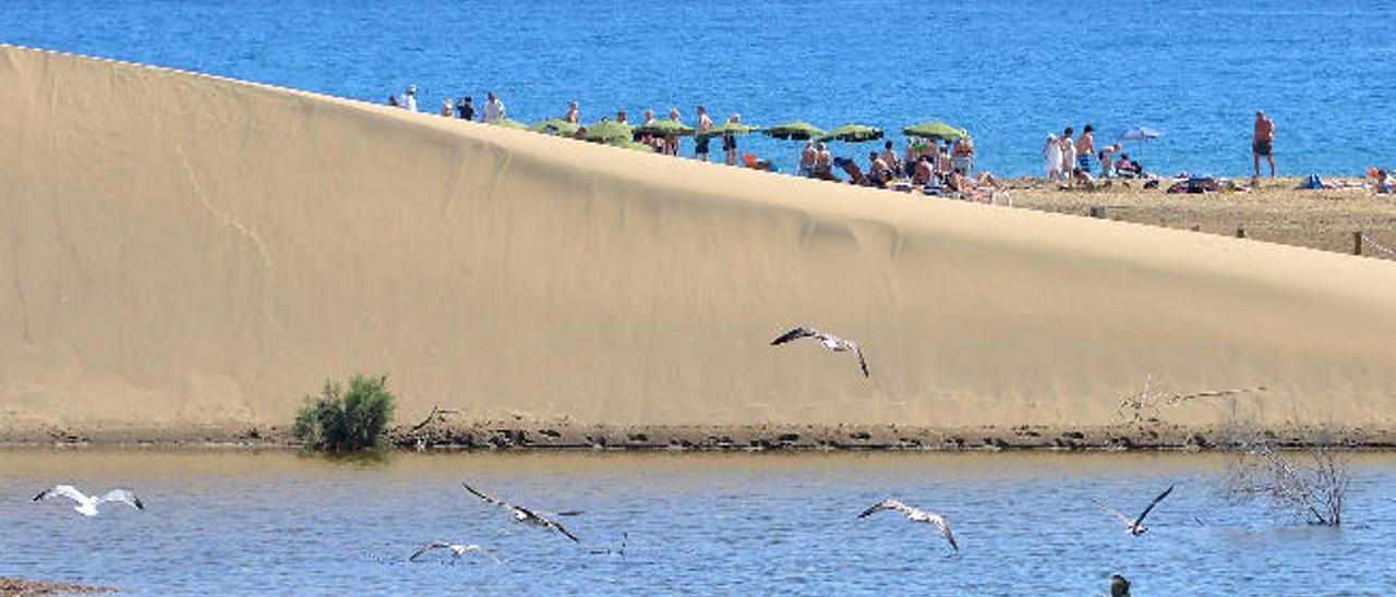 Las Palmas destruye su costa a un ritmo de dos kilómetros por año