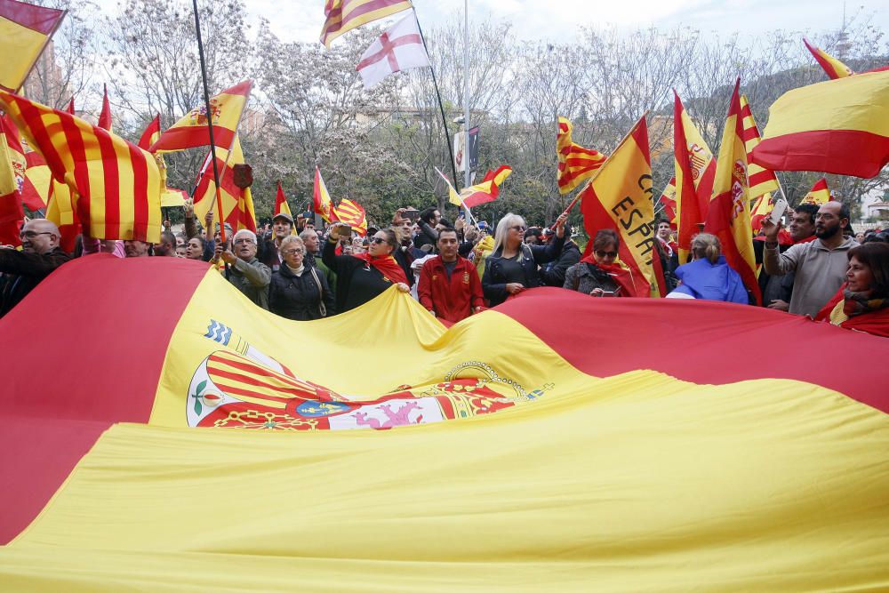 400 persones es manifesten a Girona en favor de la unitat d''Espanya i en contra del Govern destituït