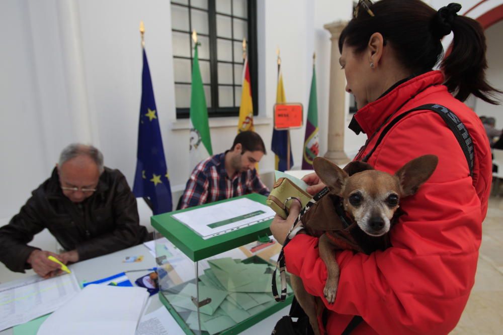 ELECCIONES ANDALUZAS