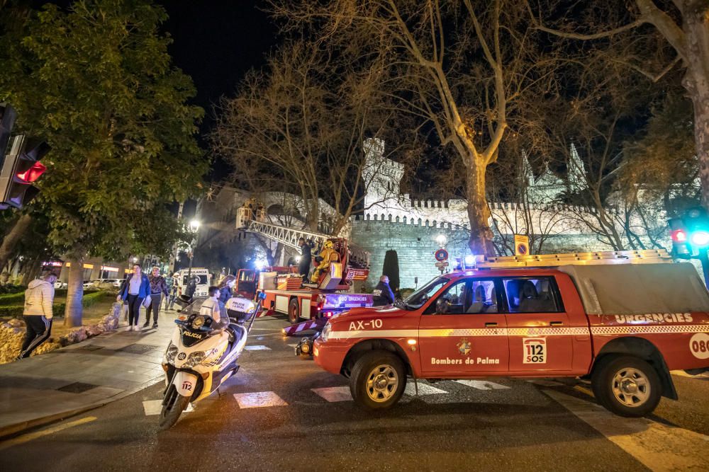 Cortan la calle Conqueridor para capturar un papagayo fugado de un domicilio