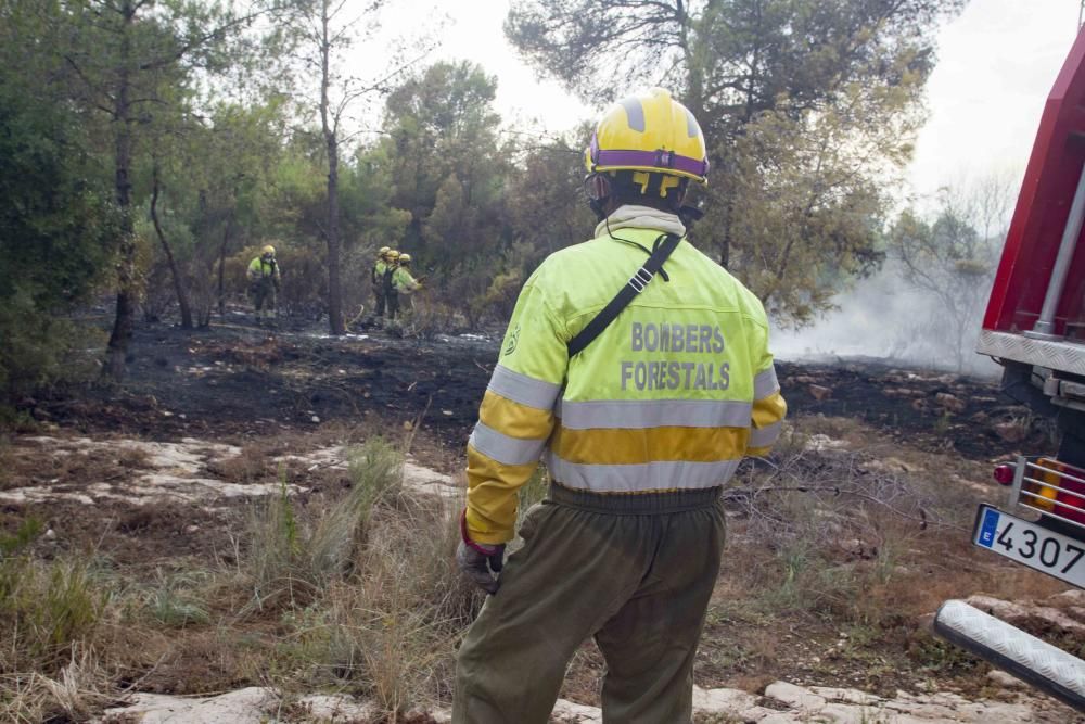 Incendio forestal en la zona el Pi d'Ambrosio de l'Ènova