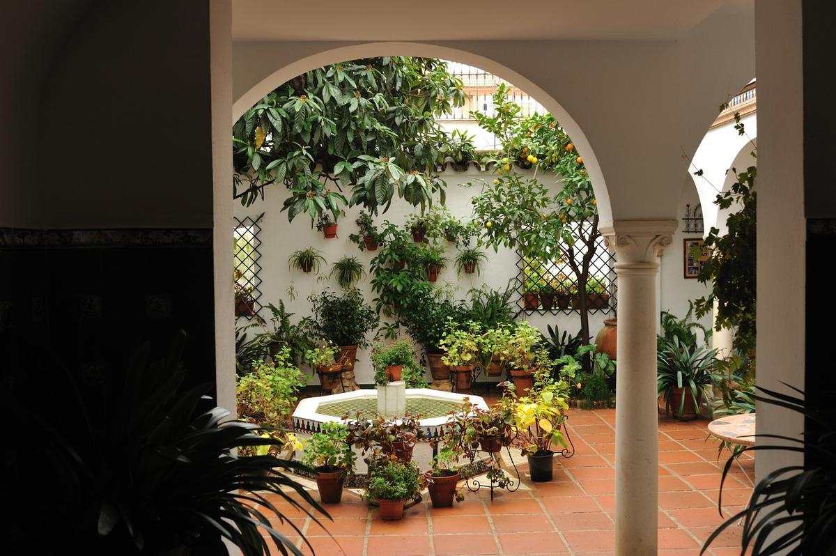 Patio en Sevilla.