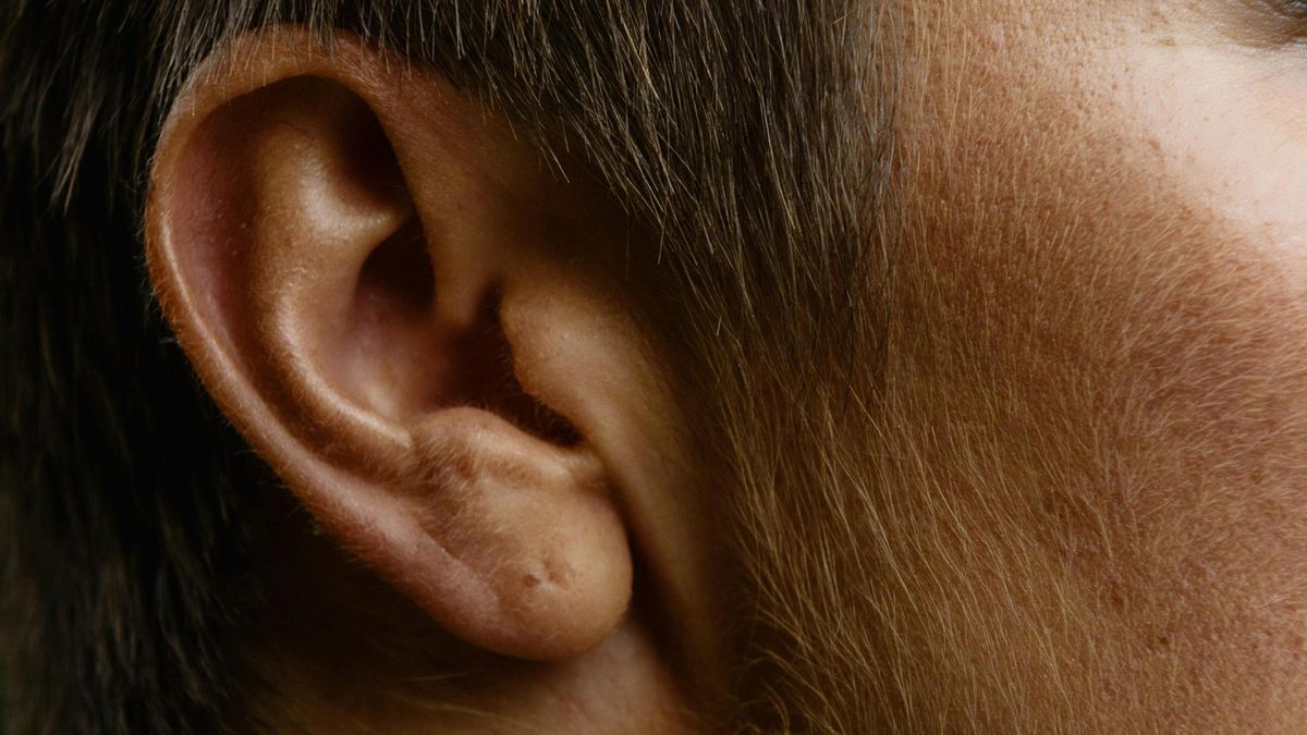 Un estudiante le corta la oreja a su compañero de piso.