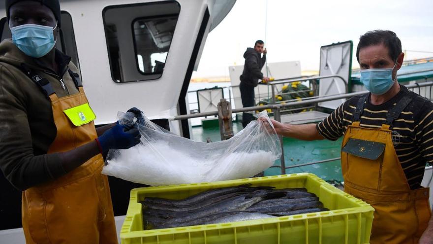 La lonja de A Coruña sube las descargas un 21,1% y logra su mejor facturación de inicio de año desde 2019