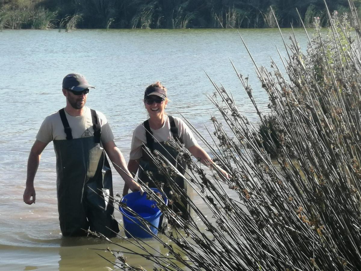 Dos voluntarios en la recogida de tortugas durante la campaña de 2022