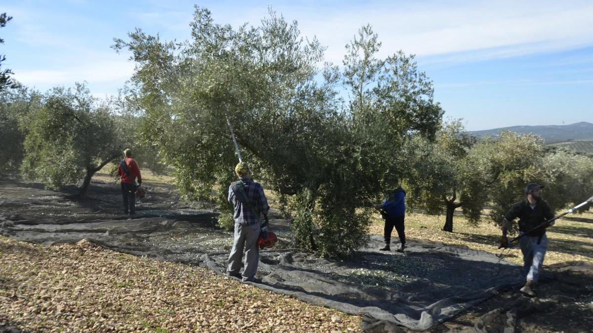 El paro se reduce en Córdoba por segundo mes consecutivo y cae a los niveles del 2009