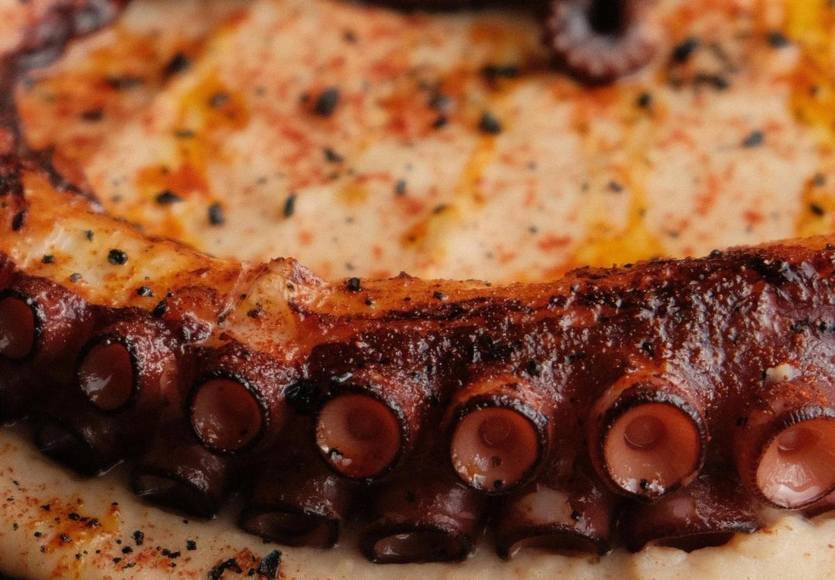 Pulpo con parmentier de patata.