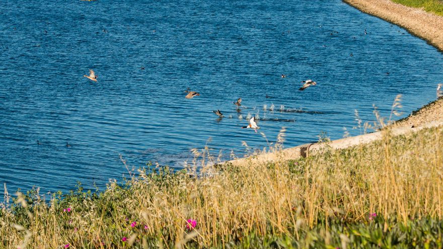 Proteger la naturaleza, reduciendo nuestro impacto en los ecosistemas