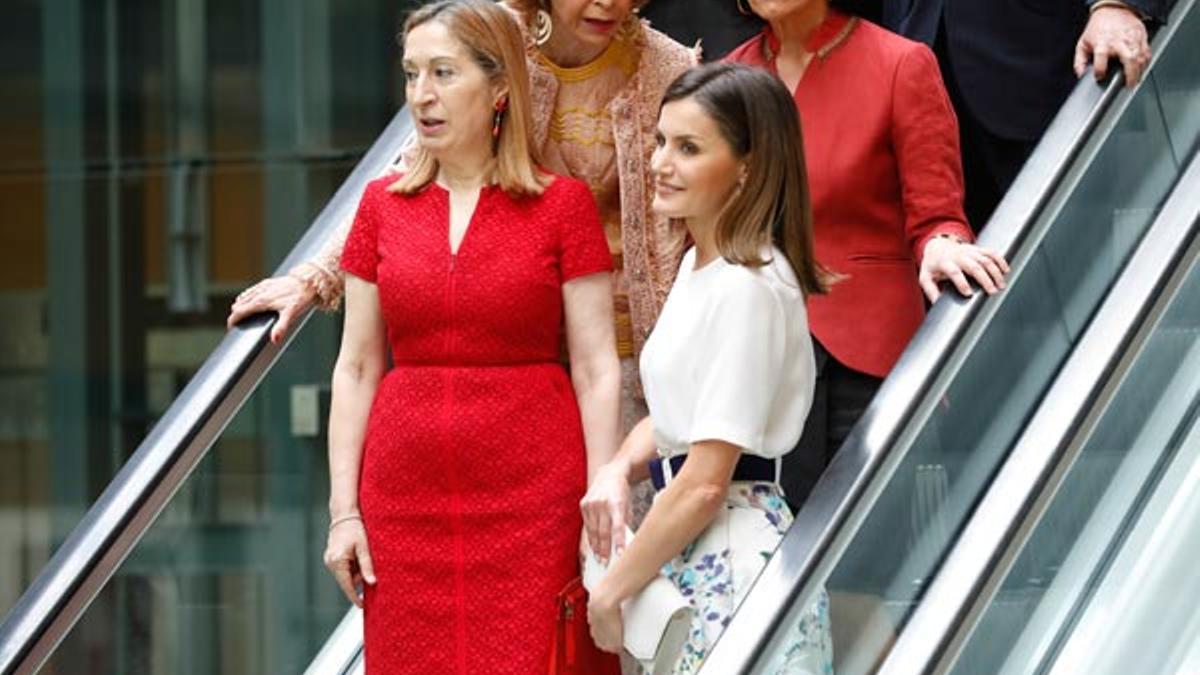 Letizia Ortiz con falda estampada de flores de Adolfo Domínguez