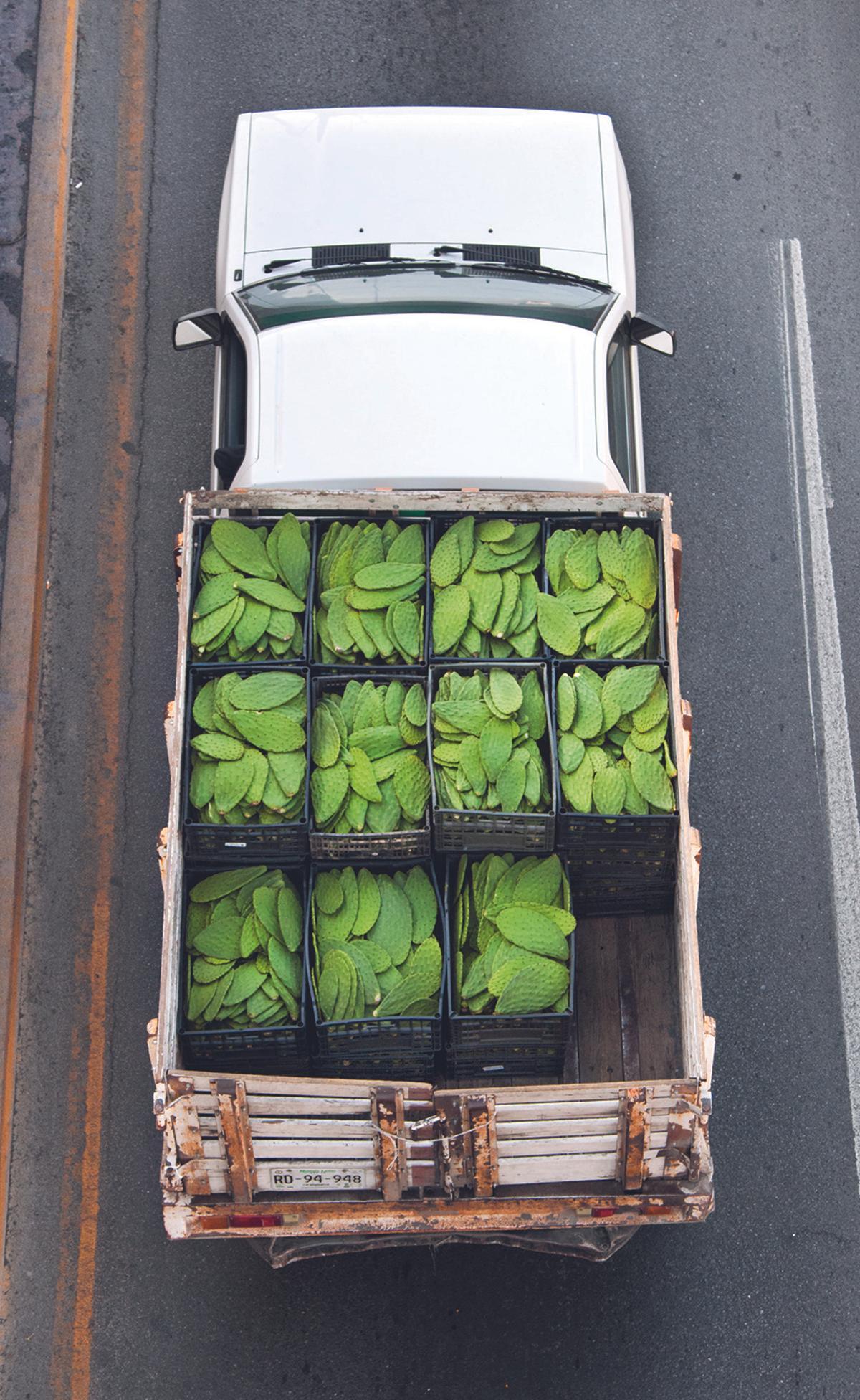 «Urban Transportation»