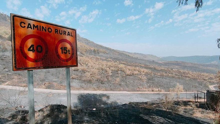 Los incendios remiten en Extremadura tras quemarse 6.200 hectáreas