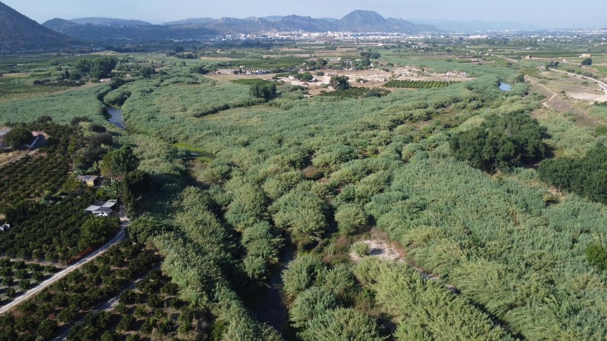Confluencia del río Cànyoles y Albaida. Al fondo Xàtiva.