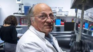 Jordi Cotrina, director del IREC: "No hi ha prou energia disponible per electrificar el 30% del transport"