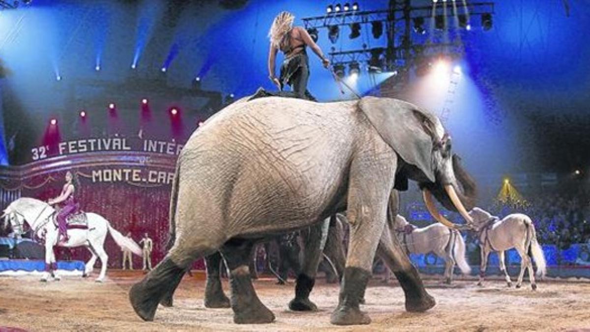 Espectáculo con animales de la compañía The Casselly, durante el Festival Internacional de Circo de Montecarlo, en Mónaco.