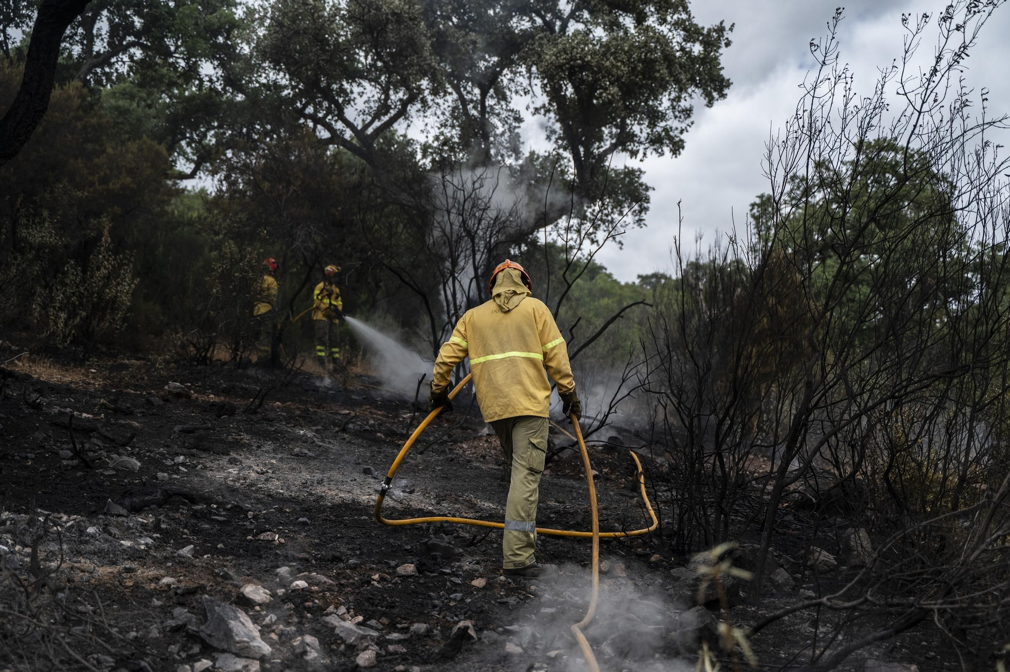 Las imágenes del incendio de este viernes en Cáceres