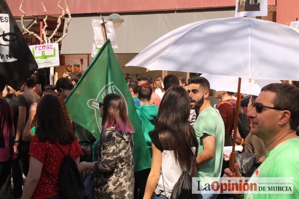 Protestas por Educación por las calles de Murcia