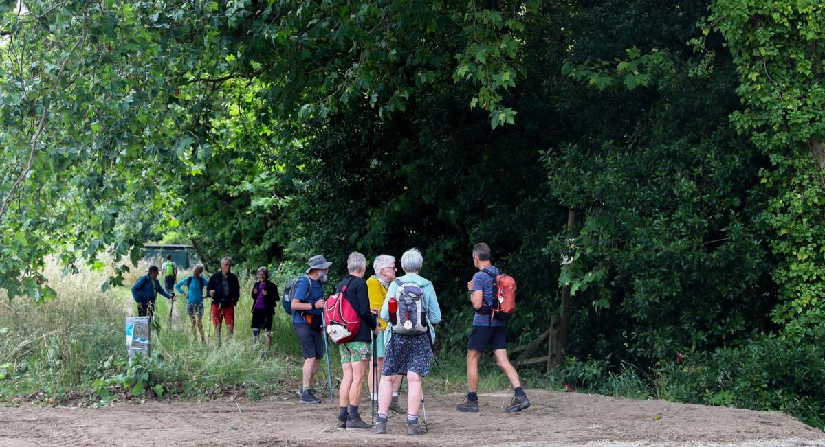 Un grupo de peregrinos atraviesa la Variante Espiritual a su paso por la comarca de O Salnés. | // IÑAKI ABELLA
