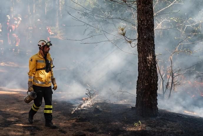 La UME realiza prácticas de prevención de incendios en Gran Canaria