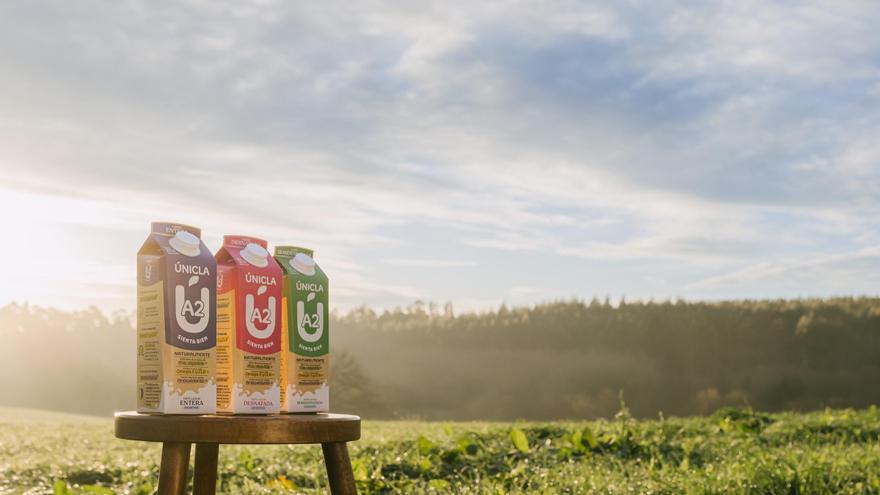 Únicla A2 presenta su respaldo científico en el Congreso de Nutrición y Salud de Fesnad