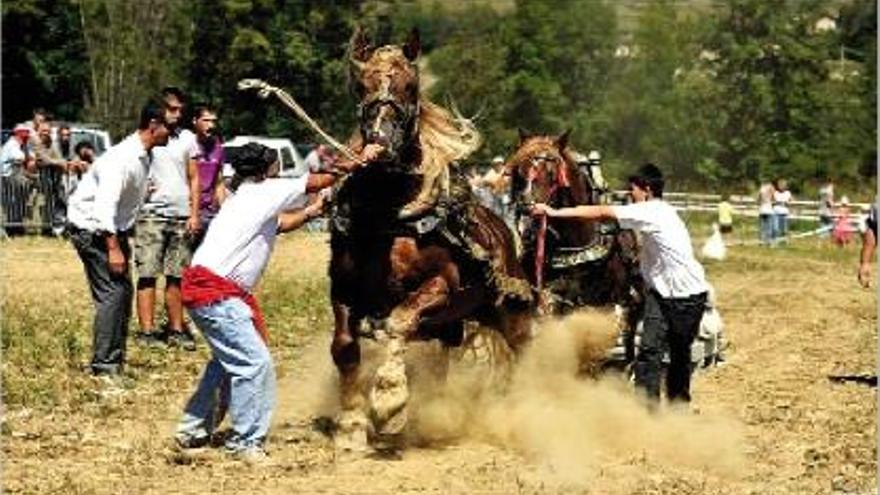 Una de les demostracions equines a la Fira de Primavera de Puigcerdà de l&#039;any passat