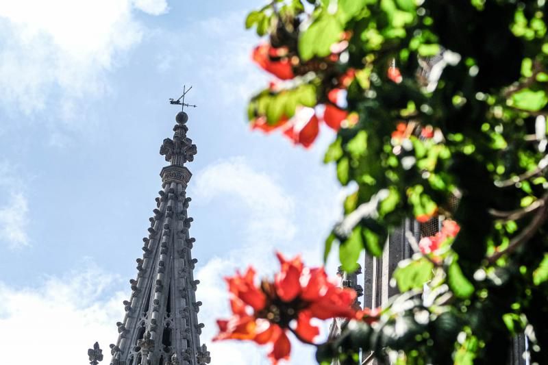 Los tres labrantes que remataron la última torre de la iglesia de Arucas