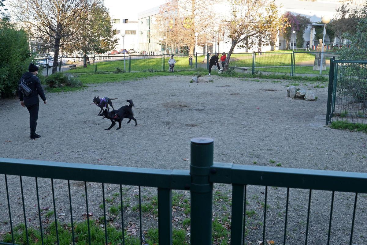 Parque canino de la plaza García Picher