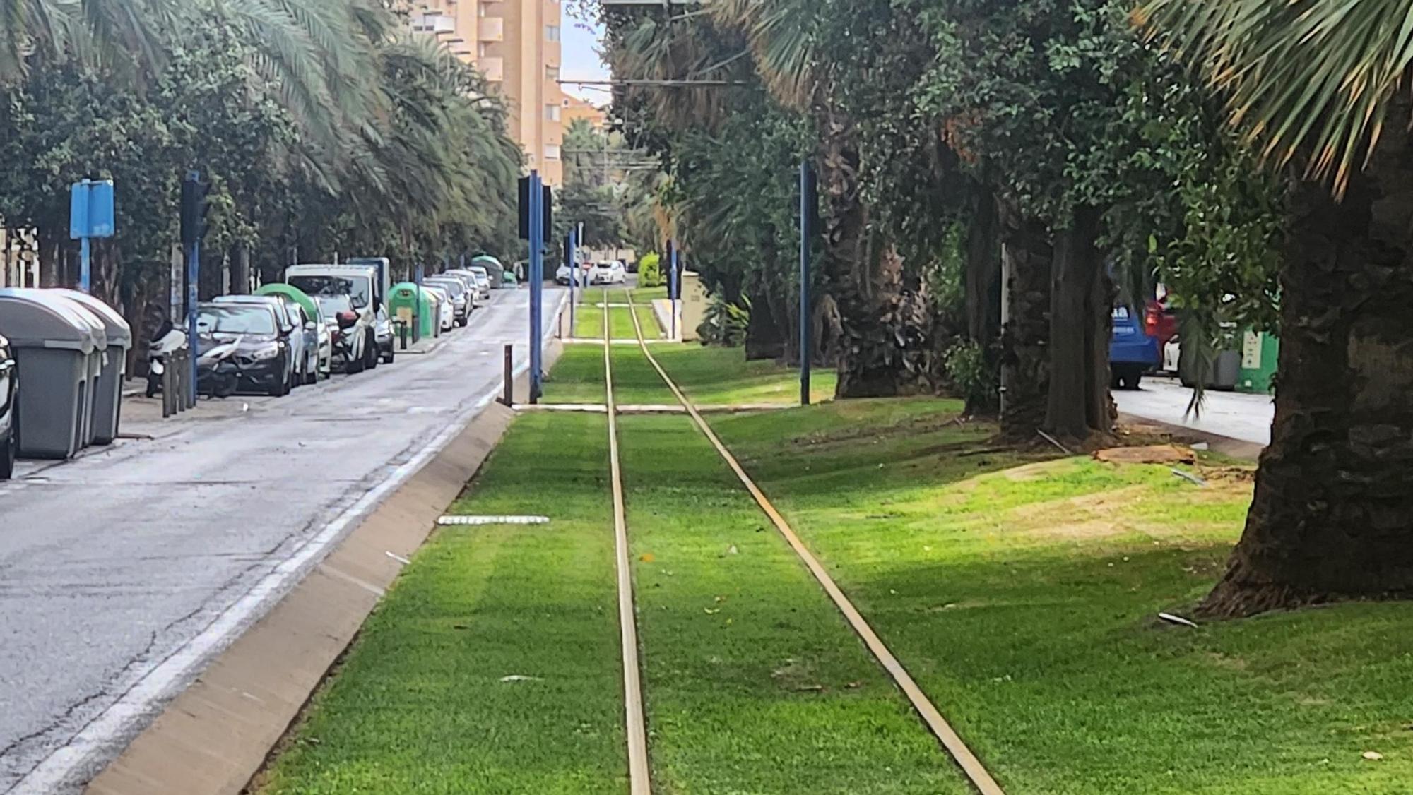 El TRAM sin circulación en Alicante por las lluvias