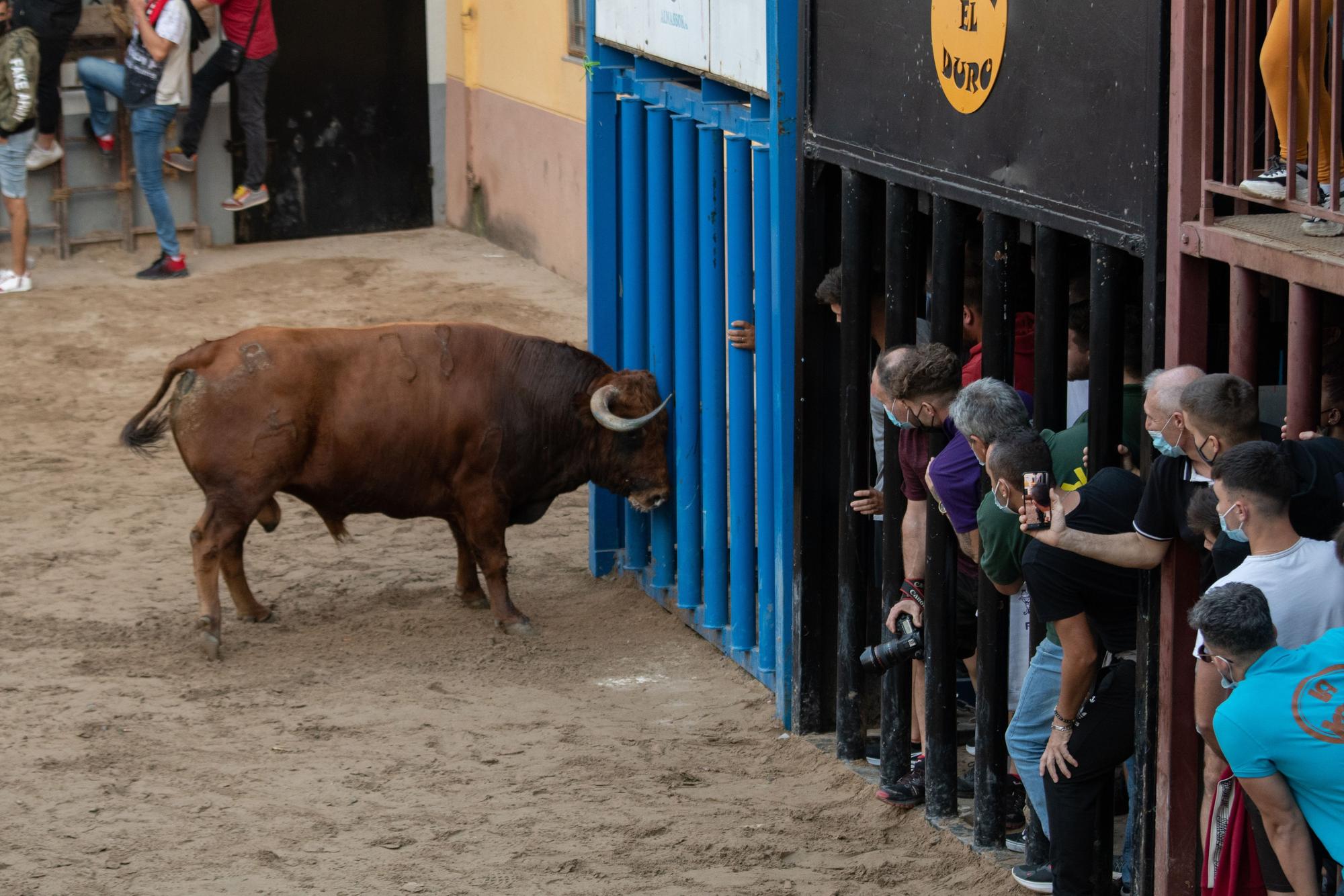 El tercer día de toros en Almassora, en imágenes