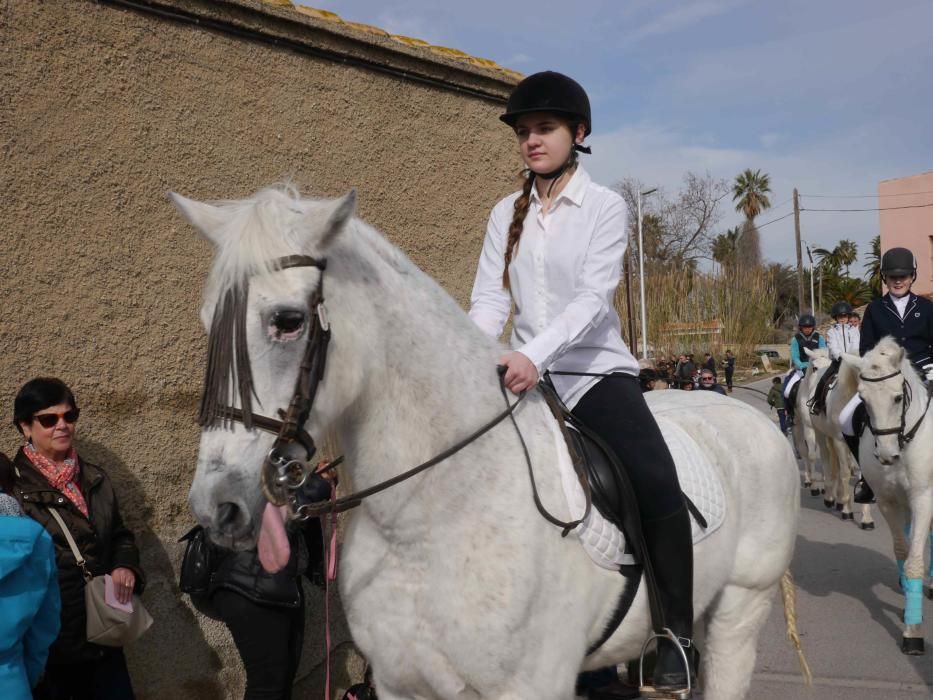 Fiesta de Sant Antoni Abad de Vera