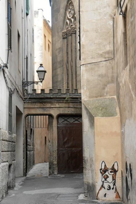 In den Gassen von Palma werden Türen, Tore und Fassaden als Kunstraum genutzt.