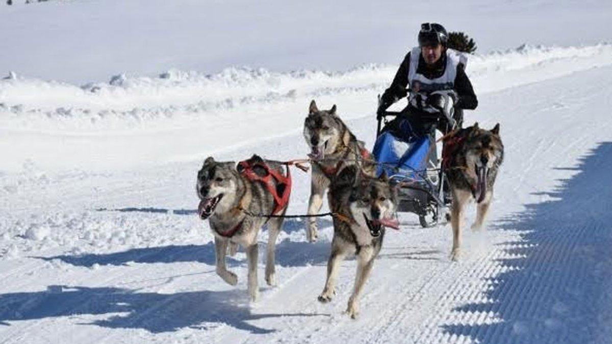 Eloi Contreras en la nieve