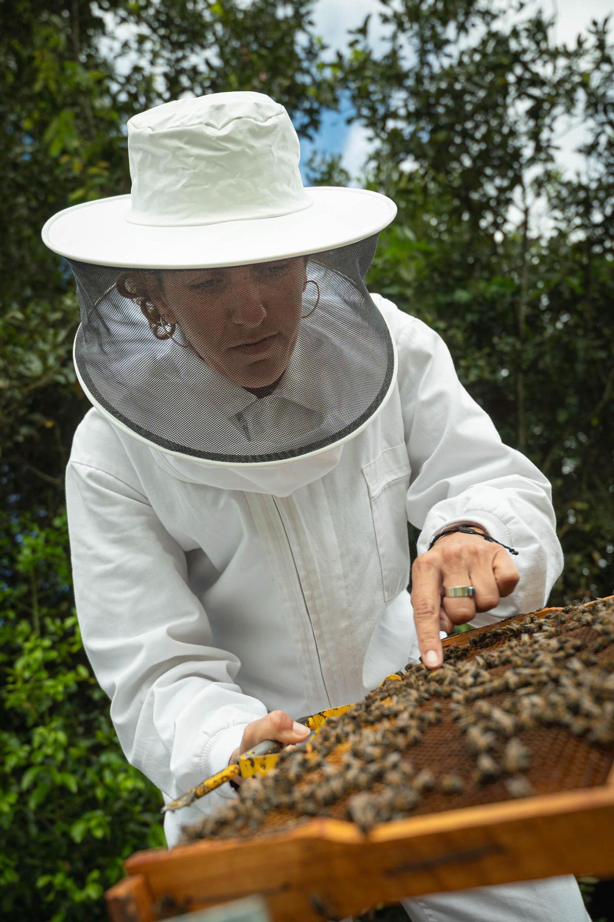 Natalia Díaz enseña su finca ecológica Ecoalpispa por el Día Mundial de las Abejas