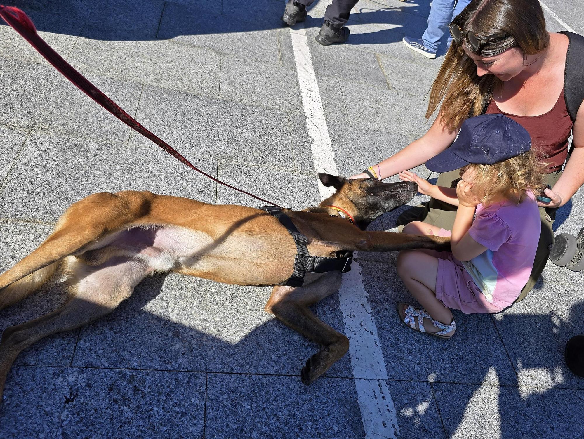 Vigo inaugura con la "Exposición de Medios" las celebraciones del Día de la Policía Nacional