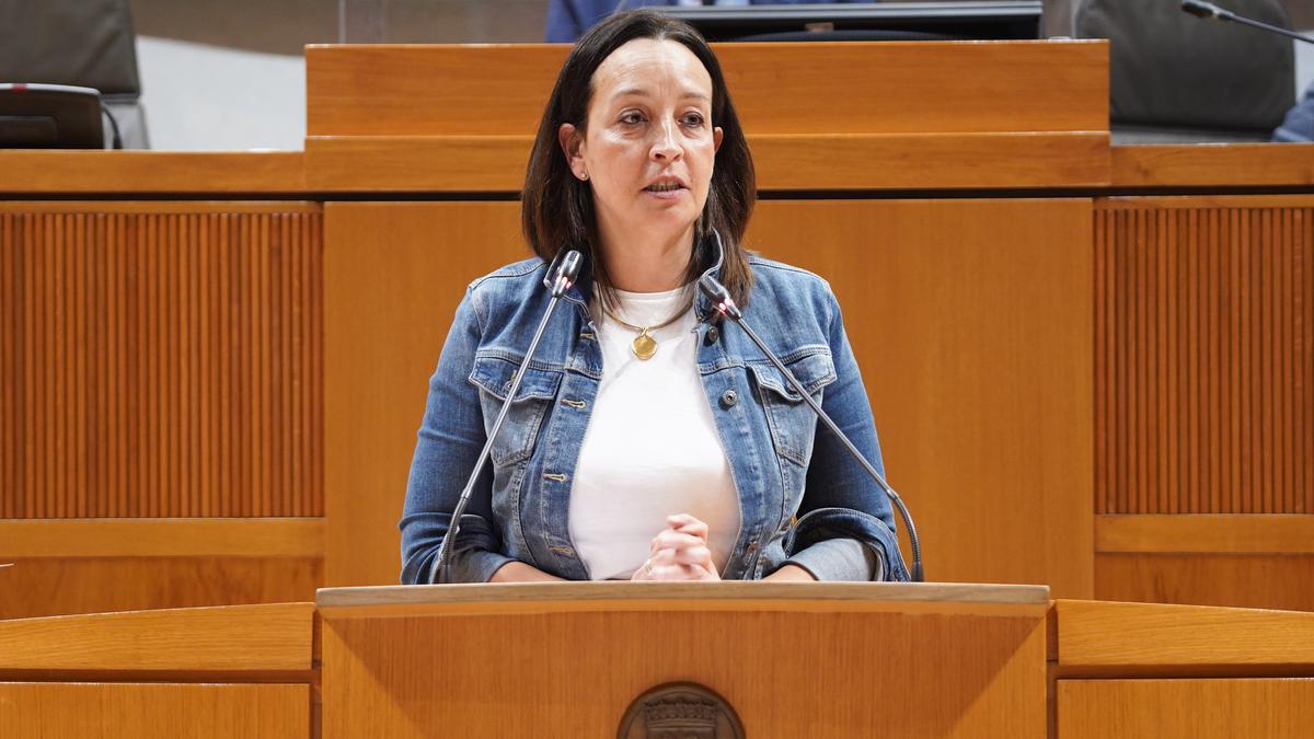 La diputada del PP, Carmen Susín, toma la palabra en el pleno de las Cortes de Aragón.