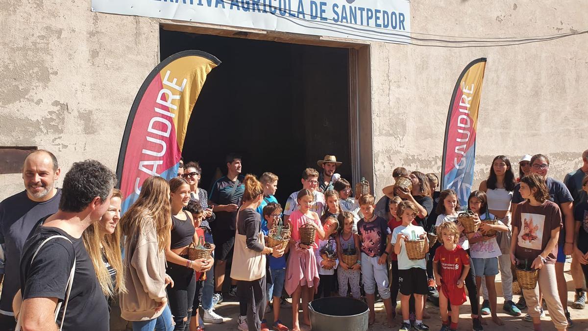 Un moment de l&#039;activitat al celler cooperatiu