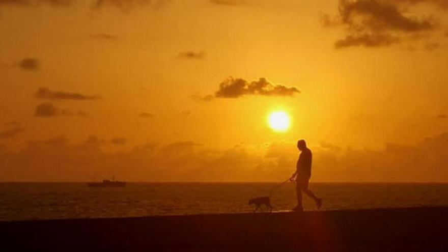 Más calor y viento para este Lunes de Pascua en Canarias