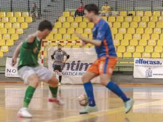 El Sala Ourense cede en casa ante un serio Albense