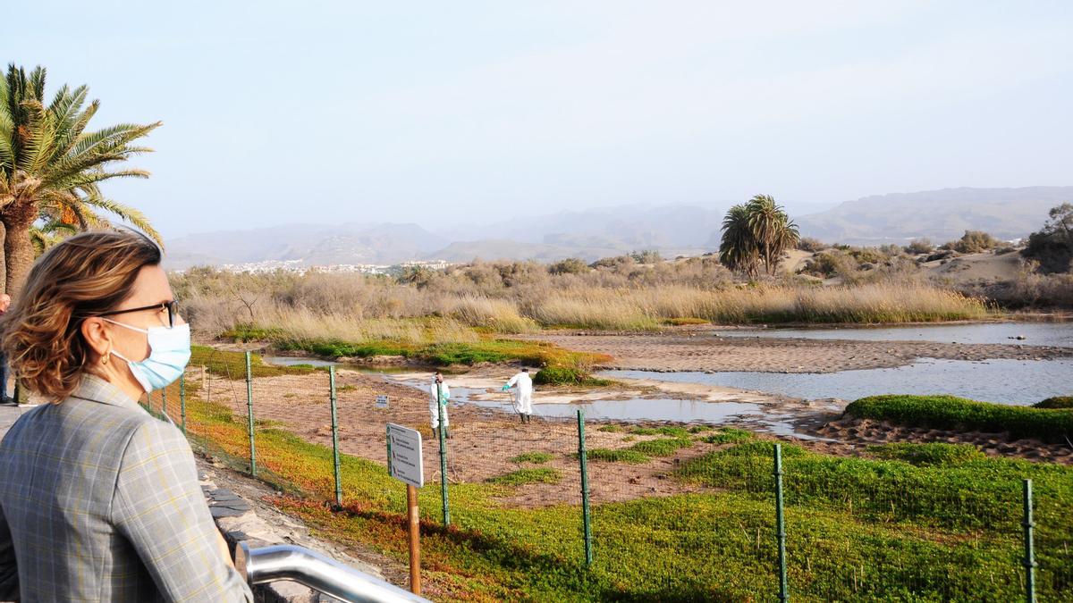 La alcaldesa Conchi Narváez supervisa las labores de fumigación.