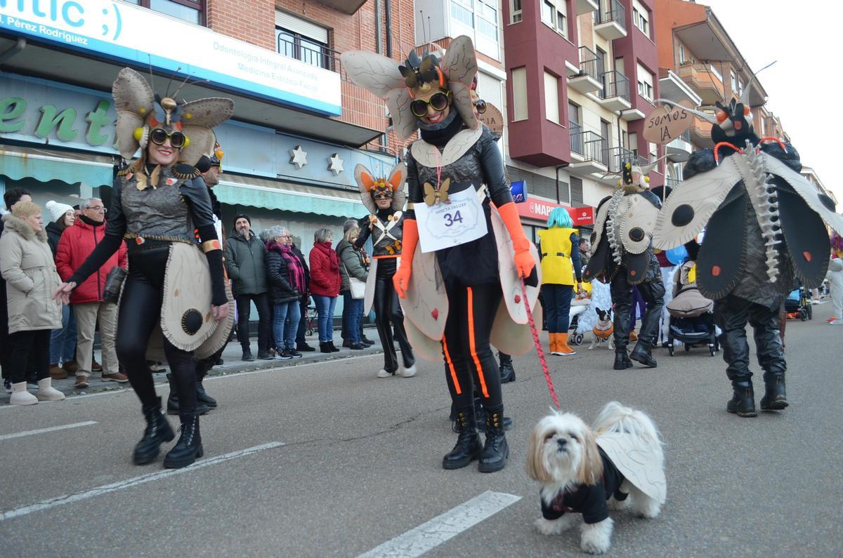 GALERÍA | El desfile de carnaval de Benavente, en imágenes GALERÍA | El desfile de carnaval de Benavente, en imágenes