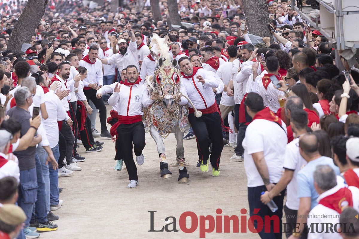 Así se ha vivido la carrera de Los Caballos del Vino en Caravaca