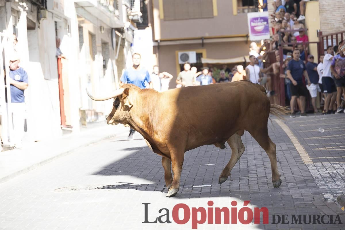 Tercer encierro de las Fiestas de Moratalla