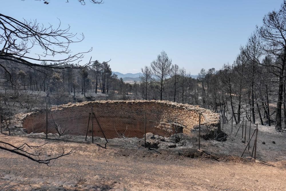 Así ha quedado la zona tras el incendio.