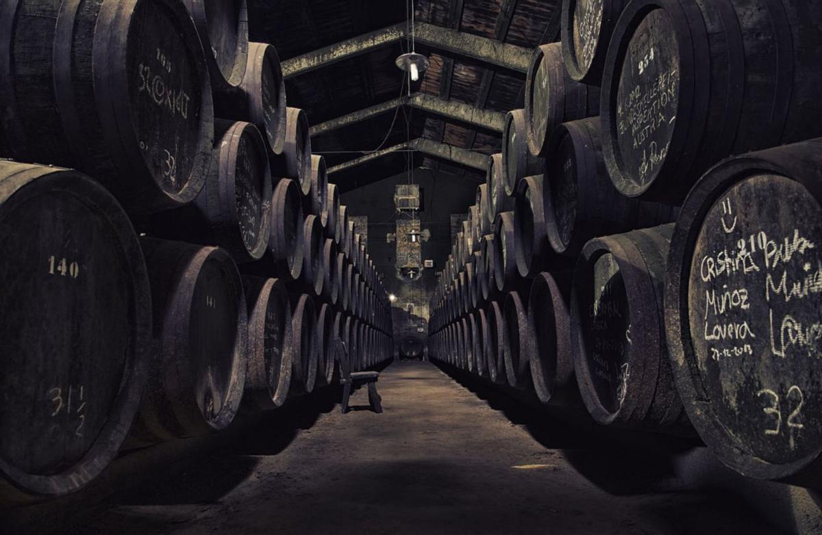 Bodega de una de las empresas de la denominación Montilla-Moriles.